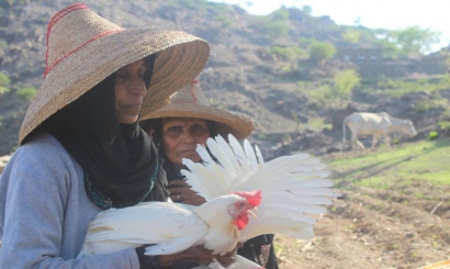 دشنت مؤسسه خديجة للتنميه بدعم من منظمة الأغذية والزراعة التابعة للأمم المتحدة Fao.